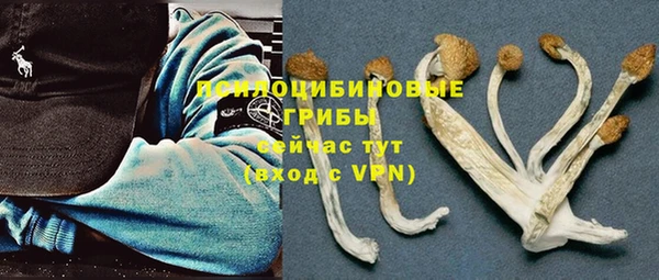 таблы Алексеевка